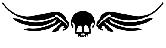 small skull wings
