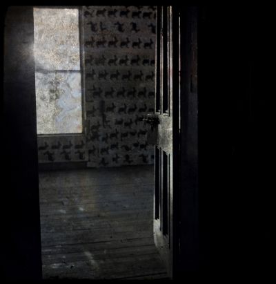 even bunnies can terrify given the right circumstances a door opening onto a scary room
