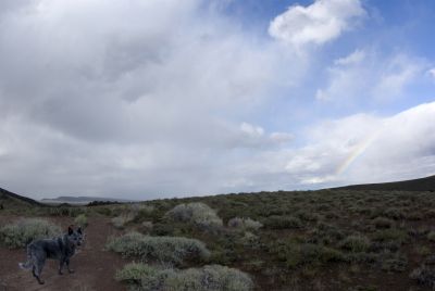 there's a community over there somewhere a dog, a rainbow, a desert