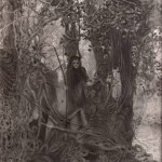 Fighting Faeries