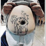 a cow tatoo on a very large stomach